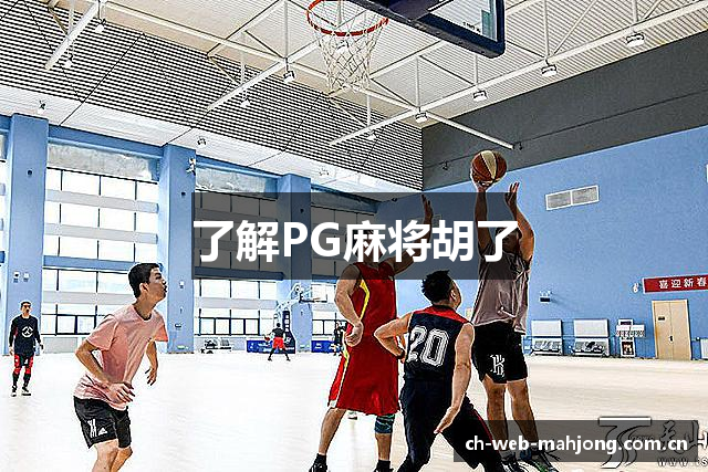 了解PG麻将胡了
